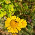 Another quick update post