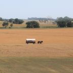 Those times real life takes over