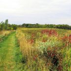 Gratitude – A Sunday thing?