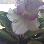 Another Monday Edition of Sunday Gratitude