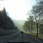 Wordless Wednesday #19 – Turkey Birds Crossing the Road