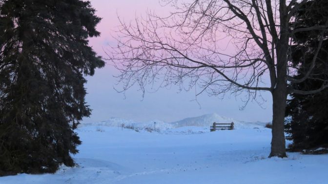 2019 Wind Point bench