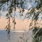 Sunday Gratitude – 22.II.2026