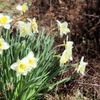 Saturday on Substack