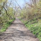 Sunday Gratitude – 5.V.2023