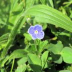 Sunday Gratitude 28.V.2023