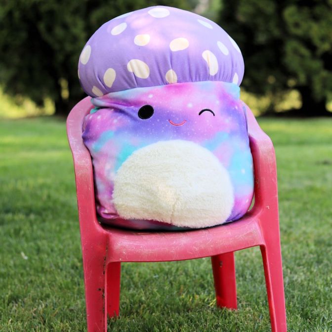 Squishmallow on a chair