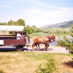 Wordless Wednesday #37 – Random Castle in Slovakia (Devín castle)