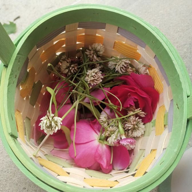 Basket of pink rose petals and clover