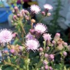 Saturday on Substack – 15.VII.2023