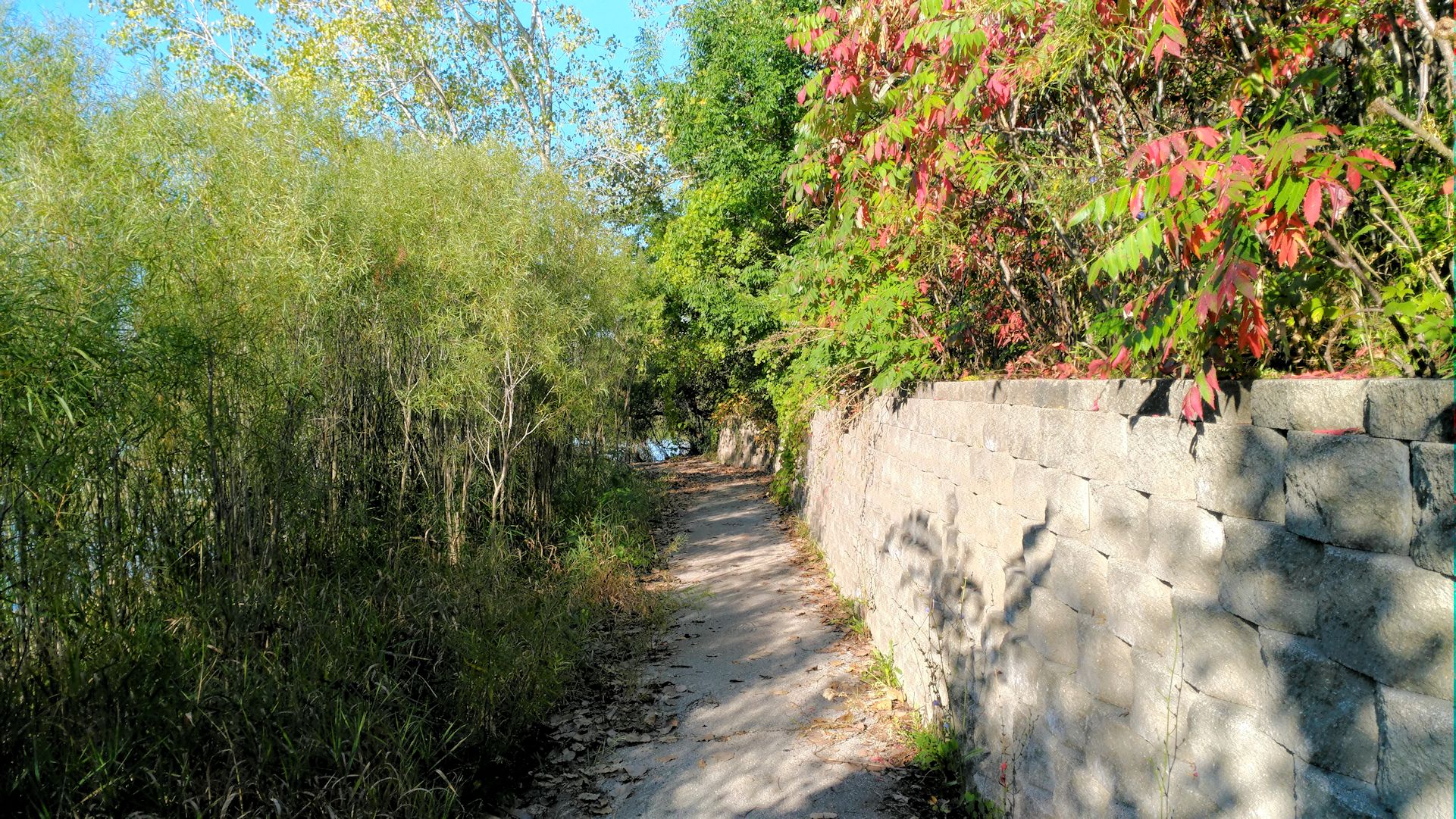 September leaves park path