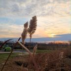 Saturday on Substack – 2.XII.2023