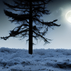 Sunday Gratitude – 10.XII.2023