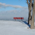 Sunday Gratitude – 14.I.2024