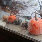 Sunday Gratitude – 28.I.2024