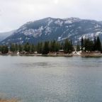 Orthodox Help – Donations for the Leahu Family