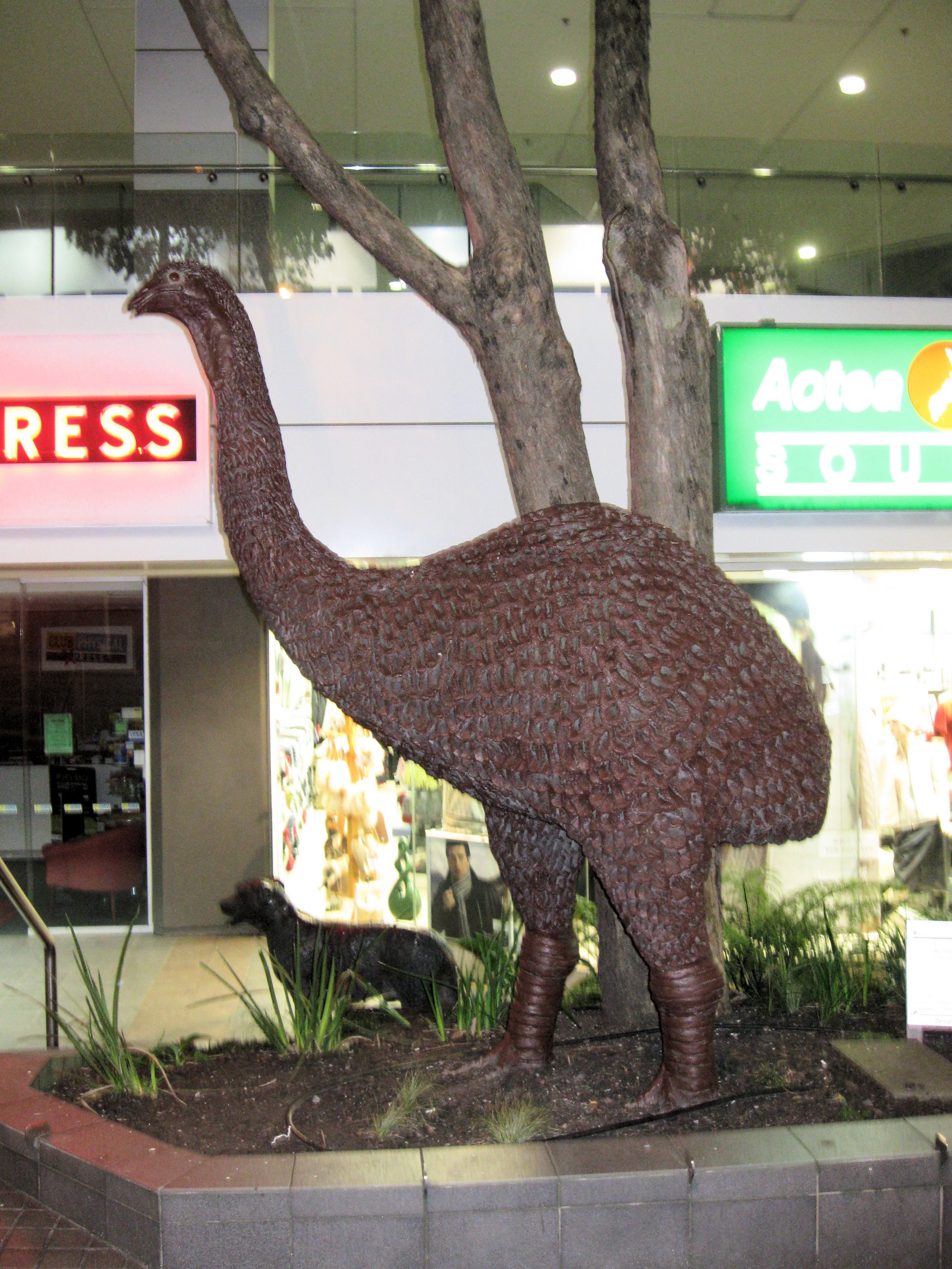 Auckland New Zealand emu statue