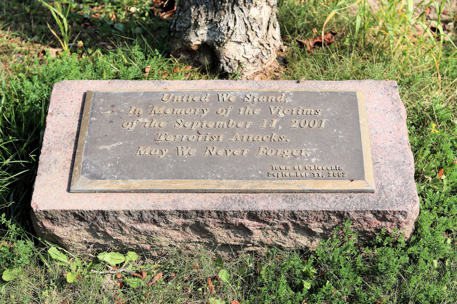 never forget plaque tree patriot day 9/11