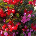 Sunday Gratitude – 13.X.2024