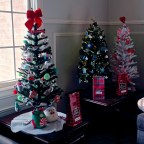 Songs of the Season 2025 – “The Cherry Tree Carol” – Mark O’Connor