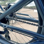 Sunday Gratitude – 21.XII.2025