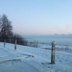 Sunday Gratitude – 11.I.2026