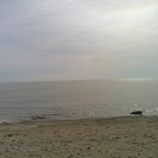 Sunday Gratitude – 29.III.2026