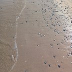 Sunday Gratitude – 5.VII.2026