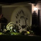 Sunday Gratitude – 6.IX.2026